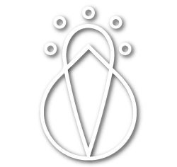 icono-essence