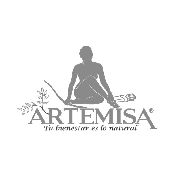 logo-artemisa-havva